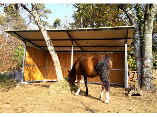 Capannine for paddock